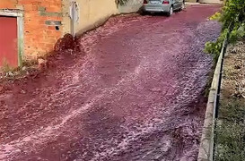 Nhà máy rượu vỡ thùng chứa, con đường ở thị trấn thành dòng sông vang đỏ