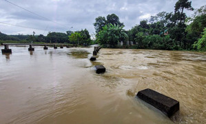 Bắc Bộ nhiều nơi mưa xối xả, cảnh báo lũ quét và sạt lở tại 10 tỉnh