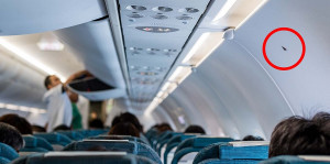 Ký hiệu tam giác nhỏ trên máy bay có ý nghĩa gì?