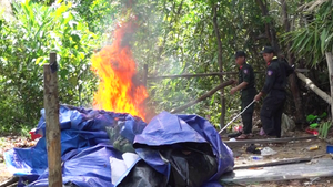 Gần 50 cảnh sát truy quét 'vàng tặc' ở Bồng Miêu