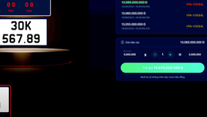 Biển số 30K-567.89 được chốt giá 13,075 tỷ đồng