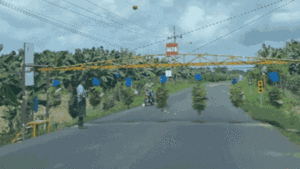 Kinh ngạc 'đoàn tàu chuối' xuất hiện, hàng loạt phương tiện nhường đường