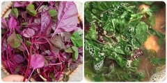 Loại rau 'bổ hơn thịt, rẻ như cho' được mệnh danh là thần dược cho sức khoẻ