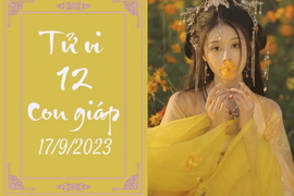 Tử vi vui 12 con giáp hôm nay ngày 17/9/2023: Thìn tận hưởng, Ngọ áp lực