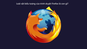 Rất ít người trả lời đúng: Biểu tượng của trình duyệt Firefox là con gì?