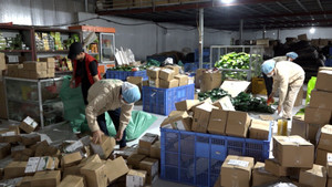 Thương mại điện tử - giải pháp đầu ra cho nông sản Việt