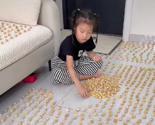 Con gái 'báo' bố bằng cách xếp nấm kín nhà