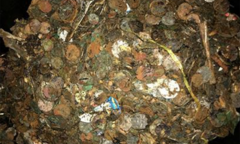 Dọn giếng khô bỏ không, bất ngờ tìm được 'kho báu'