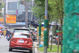 TP.HCM: Quận 5 tháo cỏ nhựa quấn quanh trụ điện