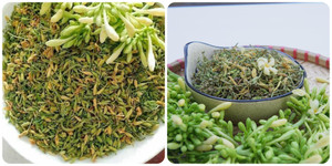 Hoa đu đủ đực có tác dụng gì?