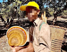 Tìm thấy thi thể người đàn ông đi lạc ở rừng Cát Tiên 