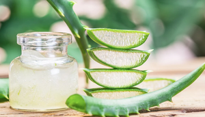 Công dụng tuyệt vời của nha đam trong làm đẹp