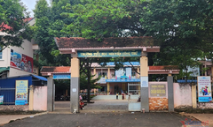 Đánh học sinh, cô giáo giải thích 'chỉ vì thương'