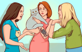 Chỉ ai thông minh mới nhận ra chủ nhân thật sự của con mèo này