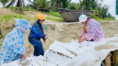 Đội mưa 'vá' bờ biển Hội An trước khi áp thấp nhiệt đới đổ bộ vào đất liền