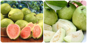 Ổi giàu protein bậc nhất nhưng lại 'đại kỵ' với 4 nhóm người sau