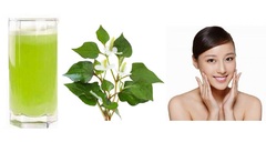 Có nên trị mụn trứng cá bằng rau diếp cá?