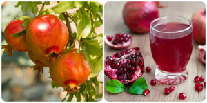 Điều gì sẽ xảy ra với cơ thể nếu mỗi ngày ăn một quả lựu?