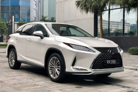 Bảng giá xe ô tô Lexus mới nhất tháng 10/2023