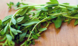 Tác dụng của rau ngổ không phải ai cũng biết