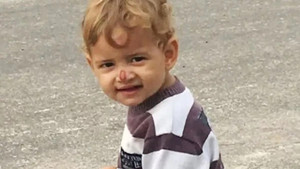 Bị chó Pitbull cắn, bé 2 tuổi chết thương tâm