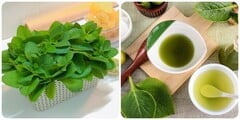 Húng chanh có tác dụng gì?