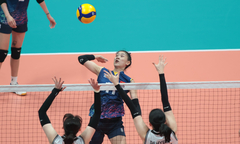 Báo Hàn Quốc: Thua đội tuyển Việt Nam là 'thảm họa'