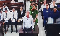 Vì sao hàng loạt cán bộ ở Đồng Nai vướng sai phạm đất đai, xây dựng?