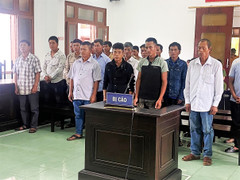 Phú Yên: Phá rừng lấy đất trồng keo, 27 người lĩnh án