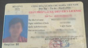 Phân biệt mức xử phạt của lỗi không mang và không có giấy phép lái xe