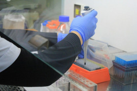 Chồng chung thủy nhưng 'có con rơi', bí mật gợi mở sau kết quả xét nghiệm ADN