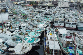 Trung Quốc hủy nhiều chuyến bay và đóng cửa trường học do bão Koinu