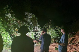 Yên Bái: Mưa lớn gây nhiều thiệt hại, tạm dừng chạy tàu Hà Nội - Lào Cai