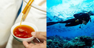 Vì sao thợ lặn uống nước mắm trước khi xuống nước?