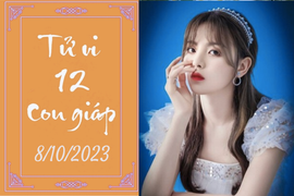 Tử vi vui 12 con giáp hôm nay ngày 8/10/2023: Hợi đào hoa, Dần khó khăn