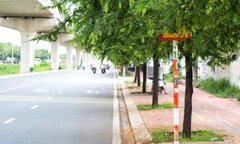 Để vật che khuất biển báo giao thông bị phạt bao nhiêu tiền? 