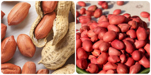 Loại thực phẩm ví là 'hạt trường sinh', được ưa chuộng vì bổ dưỡng lại rẻ