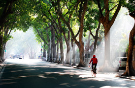 Tin không khí lạnh tăng cường từ đêm 9/10 và dự báo thời tiết 10 ngày cho Hà Nội