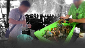 Vén màn mánh khóe xảo quyệt sau chuyện thương lái ép giá ở thủ phủ cua Cà Mau