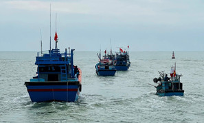 Hôm nay, Ủy ban châu Âu sang Việt Nam, bắt đầu kiểm tra gỡ 'thẻ vàng' IUU