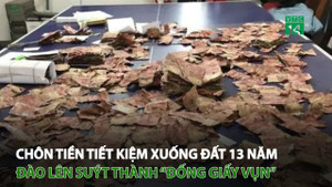 Chôn tiền tiết kiệm xuống đất 13 năm, đào lên suýt thành 'đống giấy vụn'