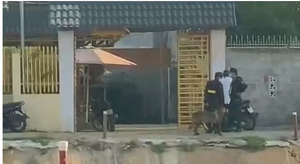 Bình Thuận: Trùm giang hồ Thảo lụi và đàn em chuẩn bị hầu tòa