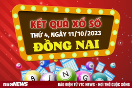 Kết quả xổ số Đồng Nai hôm nay 11/10 - XSDN 11/10/2023