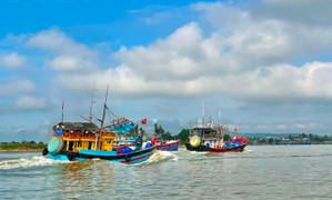 Việt Nam nỗ lực gỡ 'thẻ vàng' IUU: Đón nhận nhiều kết quả tích cực