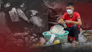Chai nhựa, túi nylon đang hủy diệt môi trường Việt Nam ra sao?