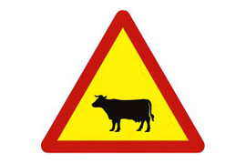 Gặp biển báo này, lái xe phải xử lý thế nào?