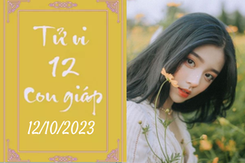 Tử vi vui 12 con giáp hôm nay ngày 12/10/2023: Dần thành công, Ngọ dung hòa