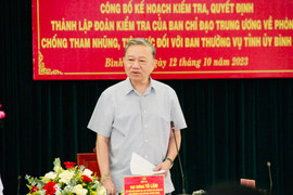 Kiểm tra công tác phòng, chống tham nhũng, tiêu cực tại Tỉnh ủy Bình Định