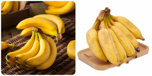 Chuối tây và chuối tiêu, ăn loại nào tốt hơn?