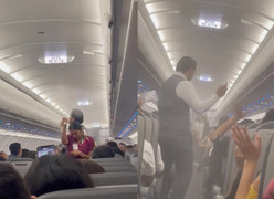 Máy bay phải hoãn cất cánh vì bị muỗi tấn công